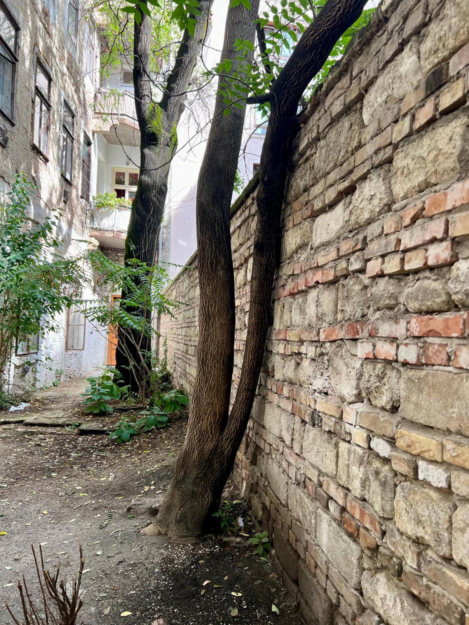 Gozsdu Court Bismarck Budapeste Exterior foto